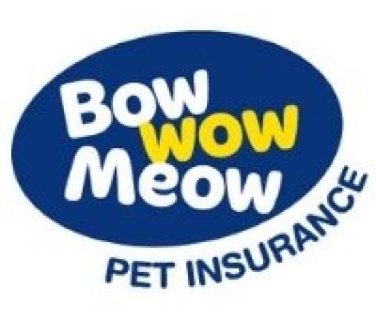 Bow Wow Meow